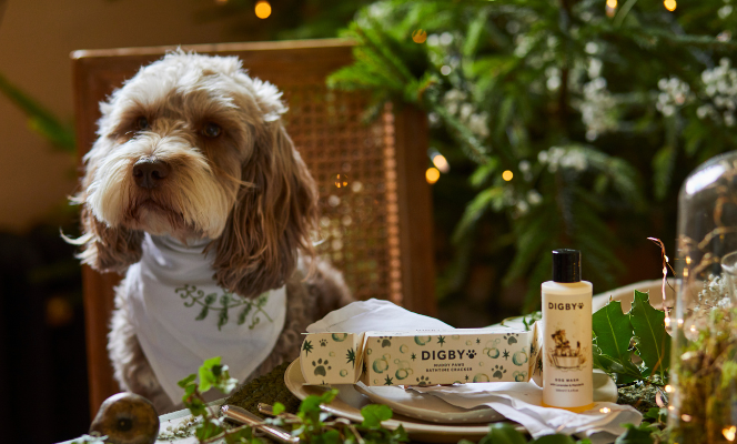 Gifts for Dogs