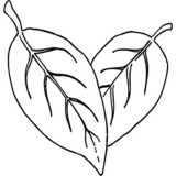 Cruelty-Free & Vegan-Friendly
