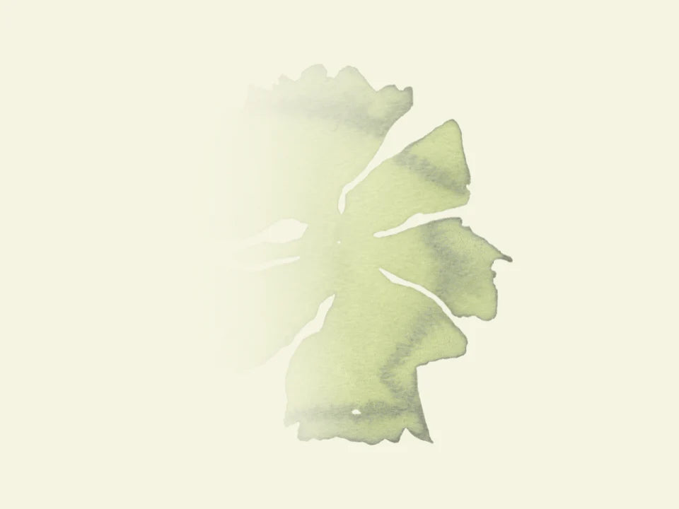 Lorem ipsum dolor