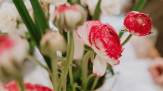 The Art of Sustainable Stems: A Floral Masterclass with Halliesphere