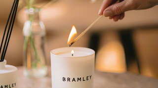 Finding a Moment of Calm With Bramley