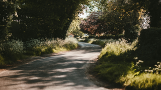 A Bramley Road Trip