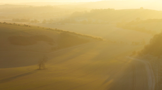 Stress Awareness Month: Gentle Ways to De-Stress Naturally