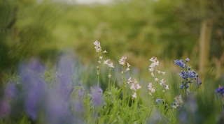Spring Skin: A Gentle Reset