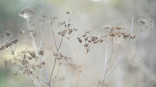 Reconnect With Nature This Winter