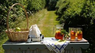 Summer Skin Kit: Our Botanical Take on a British Summer Classic