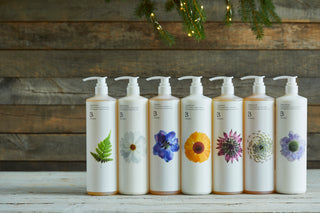All Refill Sizes
