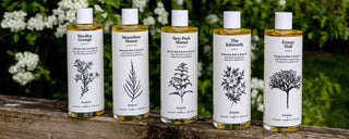 Bramley X Luxury Family Hotels