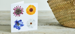 Gift Vouchers