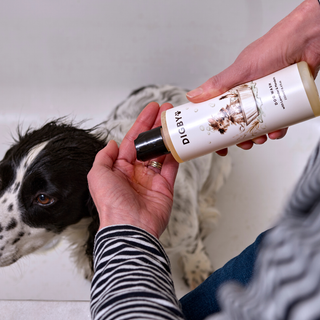 Digby Dog Wash