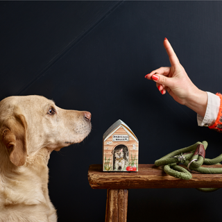 Digby Dog House