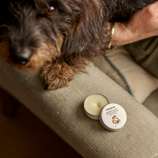 Digby Wonder Balm