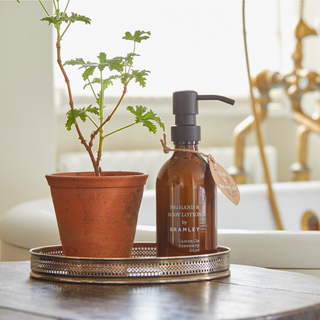 Bramley x THE PIG Hand & Body Lotion