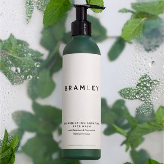 Spearmint Invigorating Face Wash