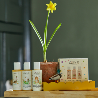 Little B Mouse Gift Set