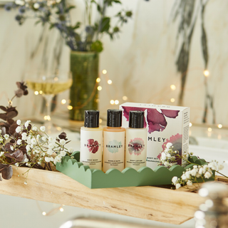 Mini Body Set