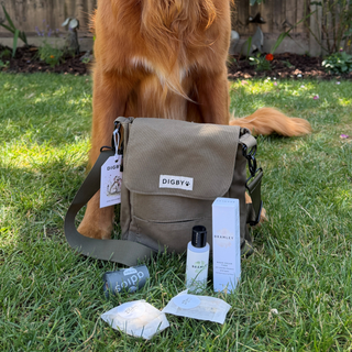 Digby Walking Bag Set laid out on the grass with Bramley Hand Cream, Hand Sanitiser Gel, poo bags and biscuit treats, with a dog standing behind