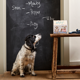 Digby's Grooming Parlour