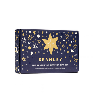 The North Star Hanging Tree Diffuser