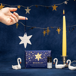 The North Star Hanging Tree Diffuser