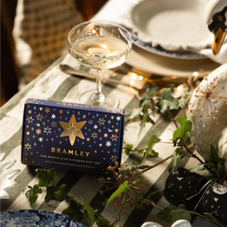 The North Star Hanging Tree Diffuser