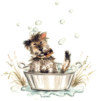 Digby Dog eGift Card