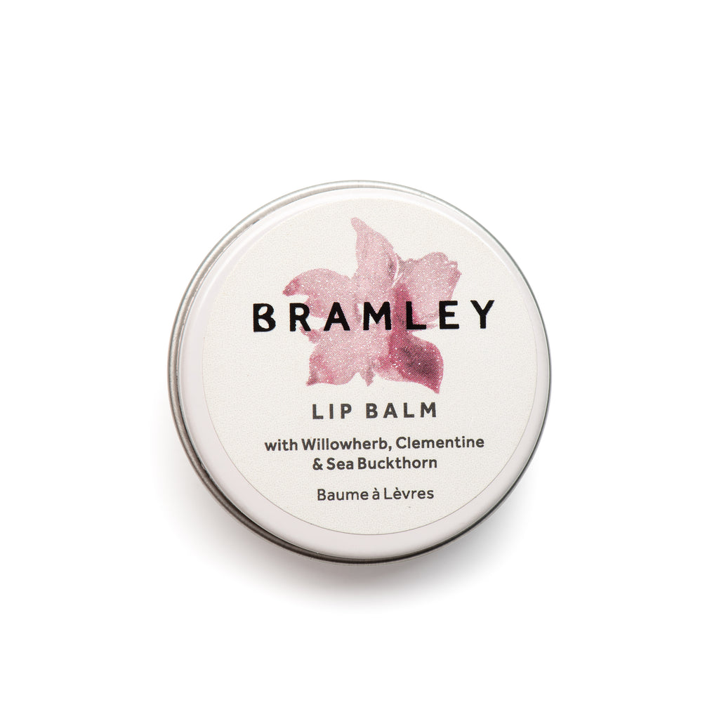 Lip Balm
