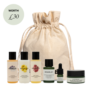 The Travel Companion