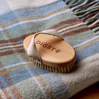Digby Dog Brush