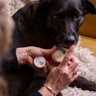 Digby Wonder Balm 15g