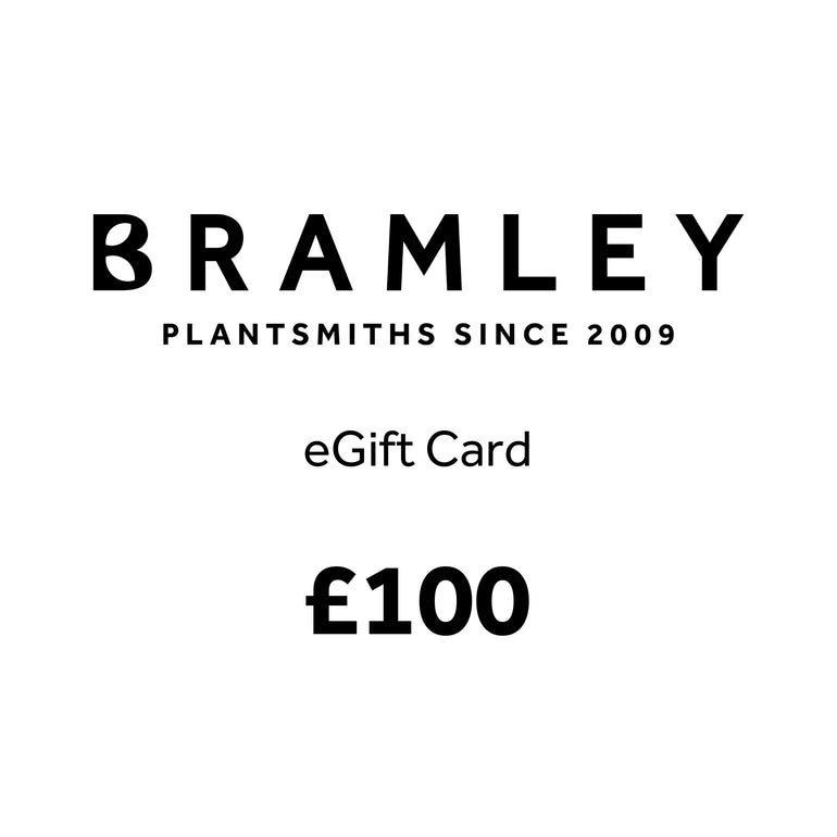 Bramley eGift Card £100 Bramley Products